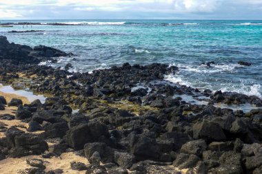 Santa Cruz Adası, Galapagos Takımadası, Ekvador, Güney Amerika 'daki Puerto Ayora' da taşlı bir sahil..