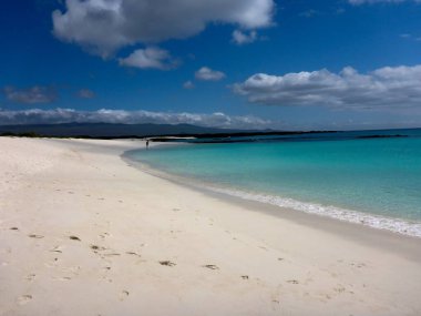 Pasifik Okyanusu 'ndaki kumsal Galapagos, Ekvador, Güney Amerika' daki San Cristobal Adası 'nda..