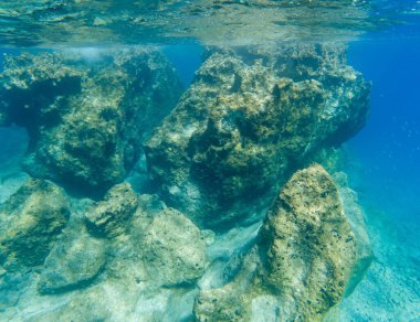 Yunanistan 'ın Karpathos adasının doğu kesiminde Apella' daki Akdeniz sualtı fotoğrafı.