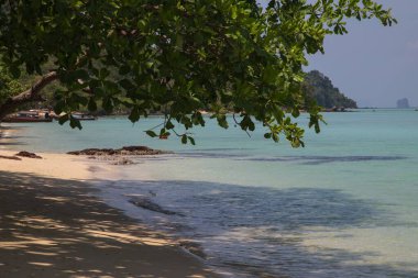 Beach and vegetation on the small island of Koh Kradan in southern Thailand. clipart