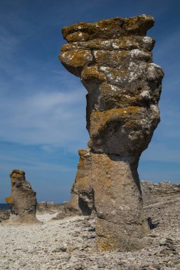 Faro, Gotland, İsveç 'teki Langhammars doğa rezervi..