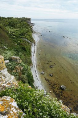 Gotland, İsveç 'teki Stora Karlso sahil şeridi ve bitki örtüsü..