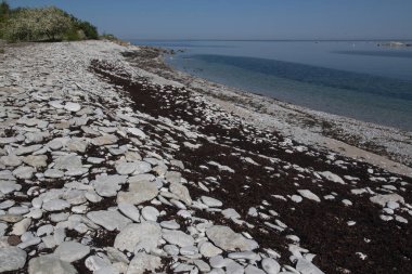 Stony beach by the Baltic sea, at Stora Karlso, Gotland, Sweden. clipart