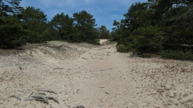 Ulla Hau doğa rezervi. Faro, Gotland, İsveç 'te kum tepeleri var..