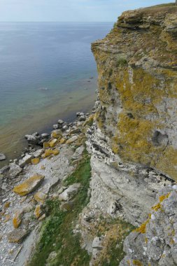 Auks by a bird mountain on Stora Karlso, Gotland, southern Sweden. clipart