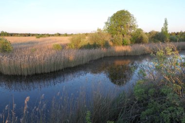 İsveç 'in kuzeybatısındaki Landtrask barajı. Eskiden daha büyük bir göl, şimdi bir sürü kuşla sulama göleti..