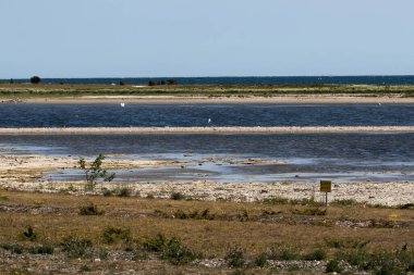 Doğu Gotland, İsveç 'te Narsholmen doğa rezervi.
