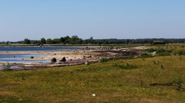 Rocky beach on Oland island, southern Sweden. clipart