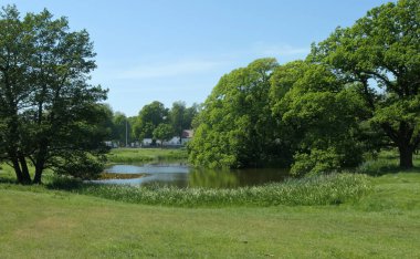 Ottenby Kungsgard 'daki gölet Güney Oland, İsveç.