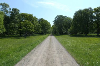 Oland, İsveç 'te Ottenbylund' un kuzeyinde toprak yol.