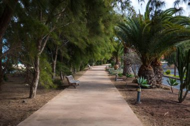 Güney Fuerteventura Adası, Kanarya Adaları, İspanya.