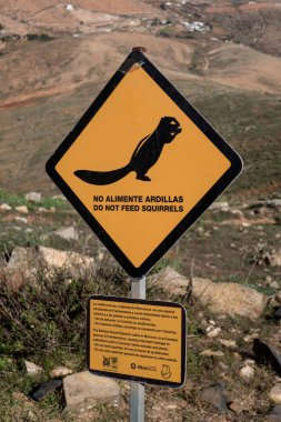 Fuerteventura Adası, Kanarya Adaları, İspanya 'daki Parque Kırsal Betancuria' da imza atın. (Sincapları besleme).