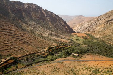 Palm Valley, La Vega de Rio de las Palmas, a green valley in the mountains south of Betancuria at Fuerteventura, Canary Islands, Spain. clipart