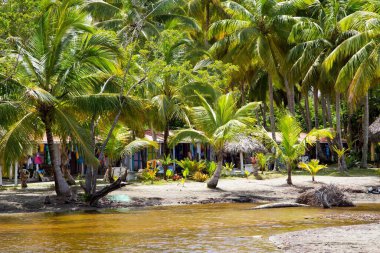 Dominik Cumhuriyeti, Karayipler 'in kuzeyindeki Grand Bahia Principe Oteli' nin otel bahçesindeki sahil bölgesi..