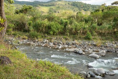 Orta Amerika, Kosta Rika 'daki Rio General' de dağ kulübesi..