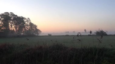 Sabahın erken saatlerinde İsveç 'in güneyindeki Oland Adası' nda kuş ötüşüyle.