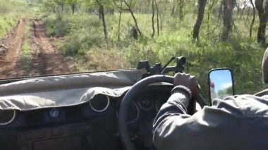 Güney Afrika, Kwazulu-Natal 'da 4 tekerli bir araçla Safari turu..