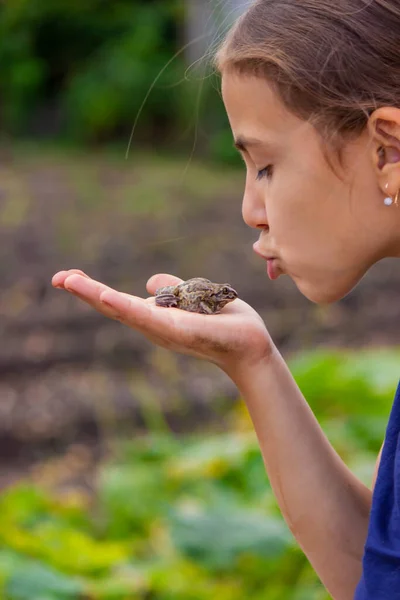 Uma Rapariga Segura Sapo Palma Mão Foco Seletivo Natureza — Fotografia de Stock