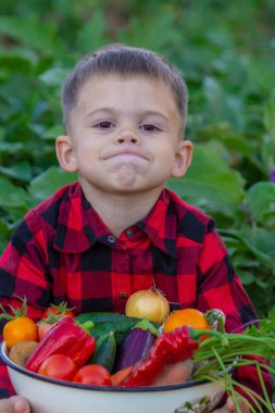 Bir çocuk elinde sebze hasadı tutuyor. Seçici odaklanma. Doğa.