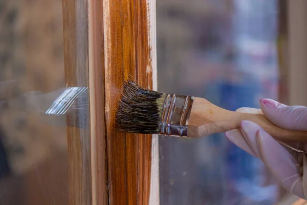 a hand holds a brush, applying varnish paint on a board - painting and caring for a tree. selective focus