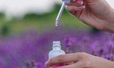 A bottle of lavender essential oil on a wooden table and a field of flowers background. selective focus