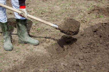 Bahçesinde bahçe aletleri olan lastik çizmeli çiftçi, seçici odaklı.