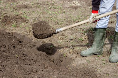 Bahçesinde bahçe aletleri olan lastik çizmeli çiftçi, seçici odaklı.