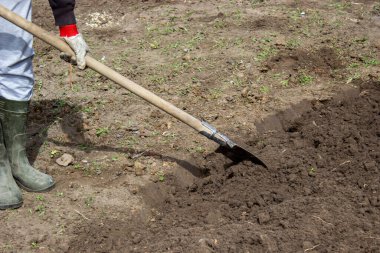 Bahçesinde bahçe aletleri olan lastik çizmeli çiftçi, seçici odaklı.