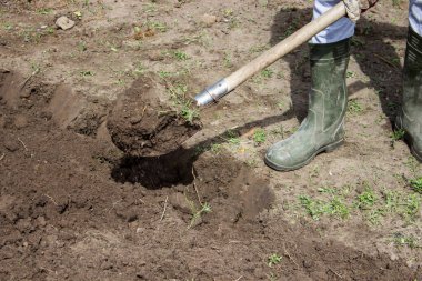 Bahçesinde bahçe aletleri olan lastik çizmeli çiftçi, seçici odaklı.