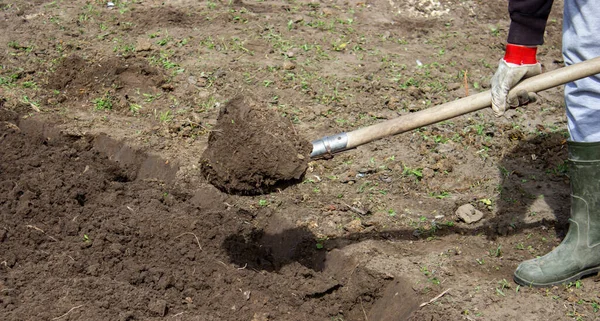 stock image Farmer in rubber boots with garden tools in the garden, selective focus