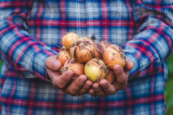 stock image the farmer holds a bow in his hands. selective focus