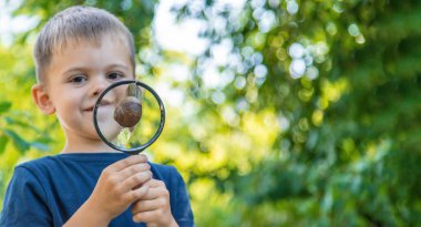 Çocuk salyangoz doğasına bakıyor. Seçici odaklanma. Hayvan..