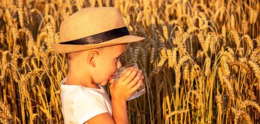 Bir çocuğun elinde bir bardak su tutarken ve buğday tarlasında içerken. seçici odak