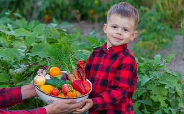 Bir çocuk elinde sebze hasadı tutuyor. Seçici odaklanma. Doğa.