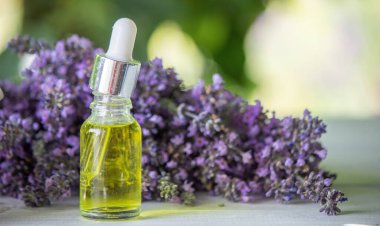 A bottle of essential oil with fresh blooming sprigs of lavender. Selective focus