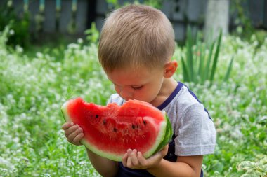 A child eats a watermelon. Selective focus. Nature