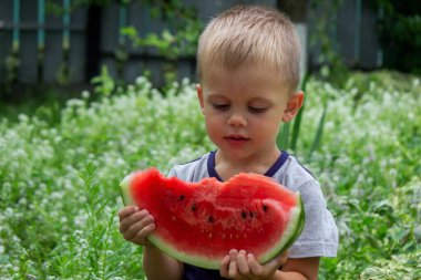 A child eats a watermelon. Selective focus. Nature