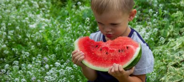 A child eats a watermelon. Selective focus. Nature