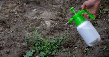 farmer sprays weeds in the garden. Selective focus. nature