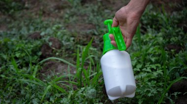 farmer sprays weeds in the garden. Selective focus. nature