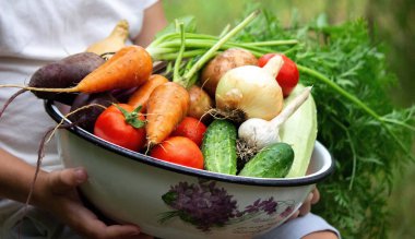 a child holding a bowl of freshly picked vegetables on a farm. Selective focus