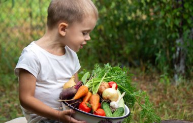 a child holding a bowl of freshly picked vegetables on a farm. Selective focus