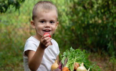 a child holding a bowl of freshly picked vegetables on a farm. Selective focus