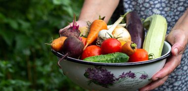 A female farmer holds vegetables in her hands. Selective focus. food.