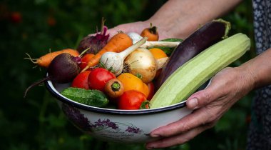 A female farmer holds vegetables in her hands. Selective focus. food.