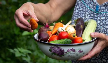 A female farmer holds vegetables in her hands. Selective focus. food.