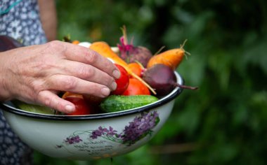 A female farmer holds vegetables in her hands. Selective focus. food.