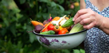 A female farmer holds vegetables in her hands. Selective focus. food.
