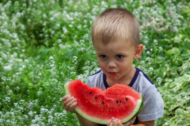 A child eats a watermelon. Selective focus. Nature