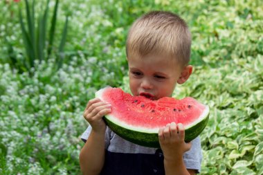A child eats a watermelon. Selective focus. Nature